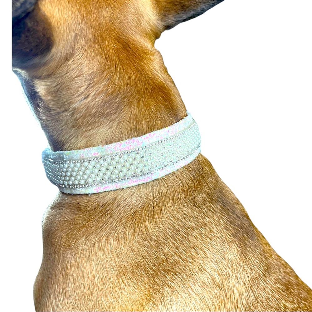 Mother of Pearl collar